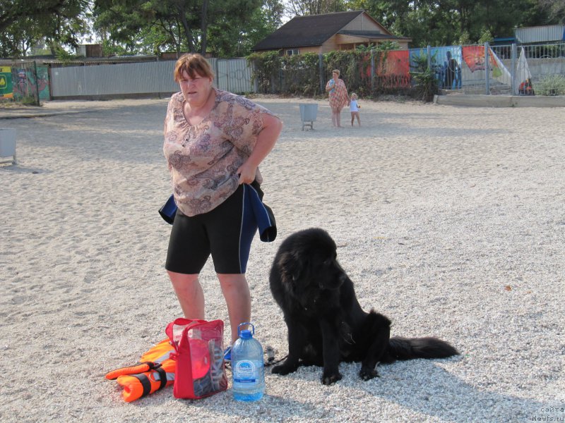 Фотография № 191761