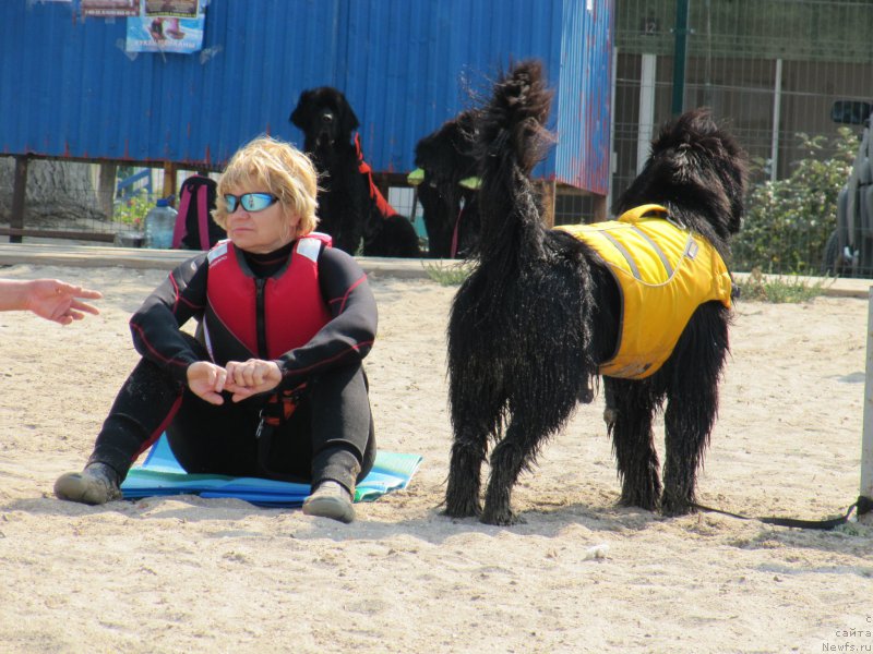 Фотография № 191768