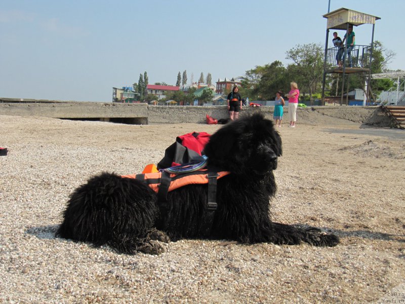 Фотография № 191771