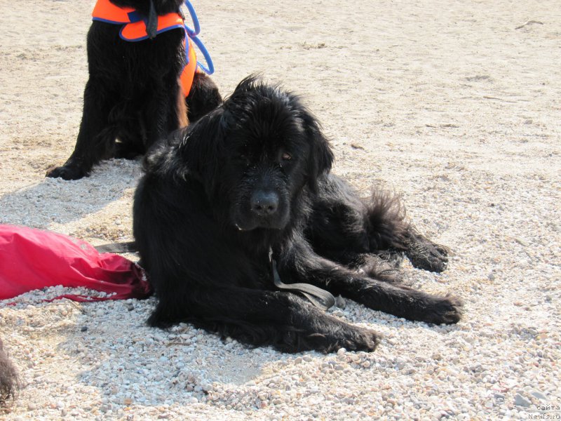 Фотография № 191776