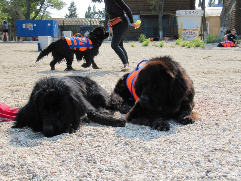 Фотография № 191777