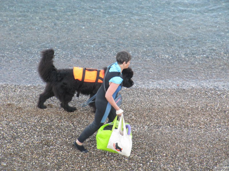 Фотография № 191811