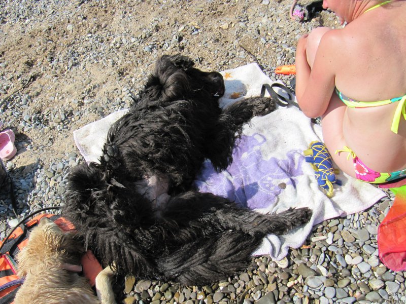 Фотография № 191828