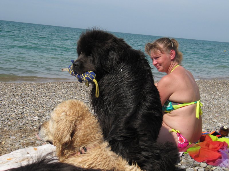 Фотография № 191830