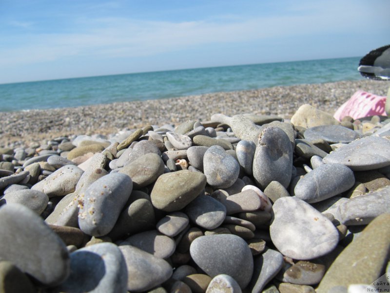 Фотография № 191832