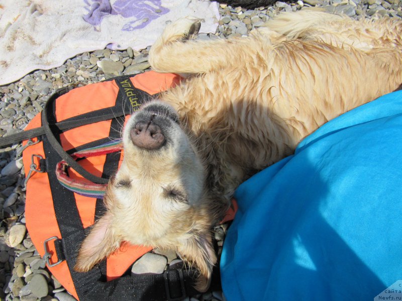 Фотография № 191845