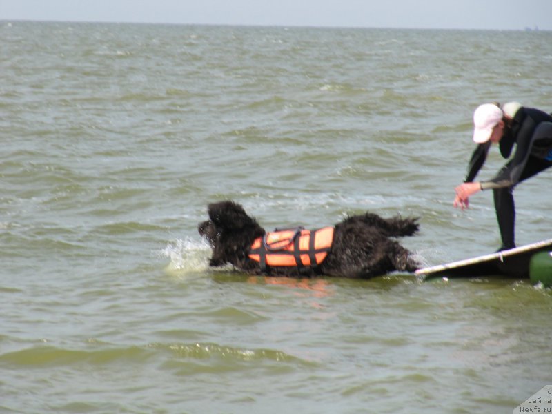 Фотография № 191857