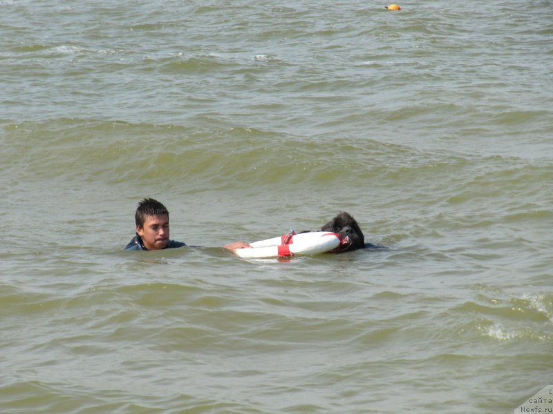 Фотография № 191859