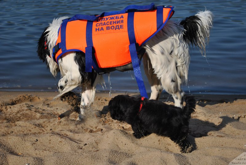 Фотография № 191873