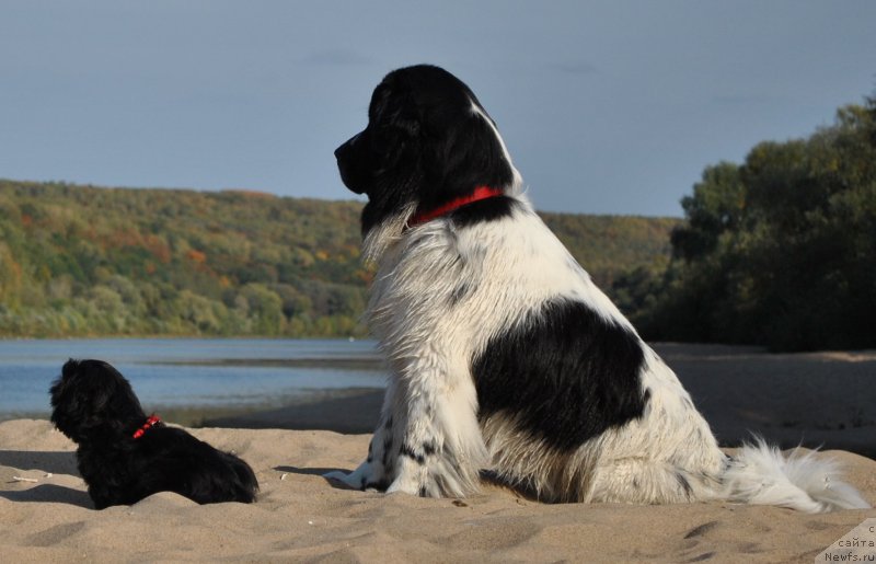 Фотография № 191874