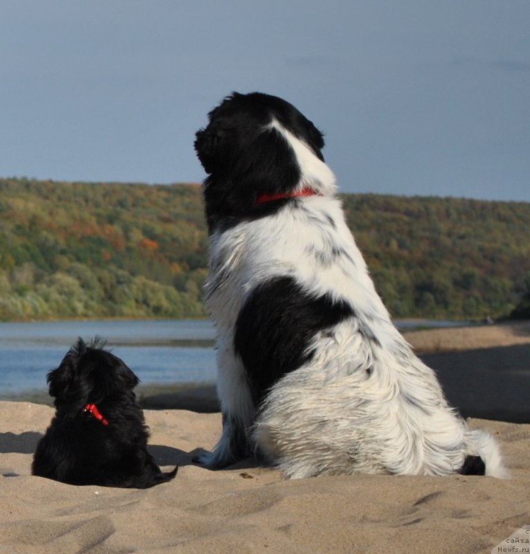 Фотография № 191875