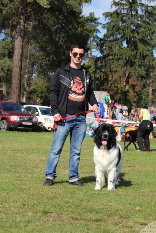 Фотография № 191878