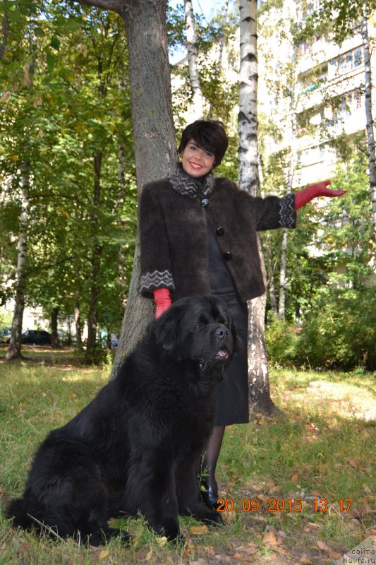 Фотография № 191893