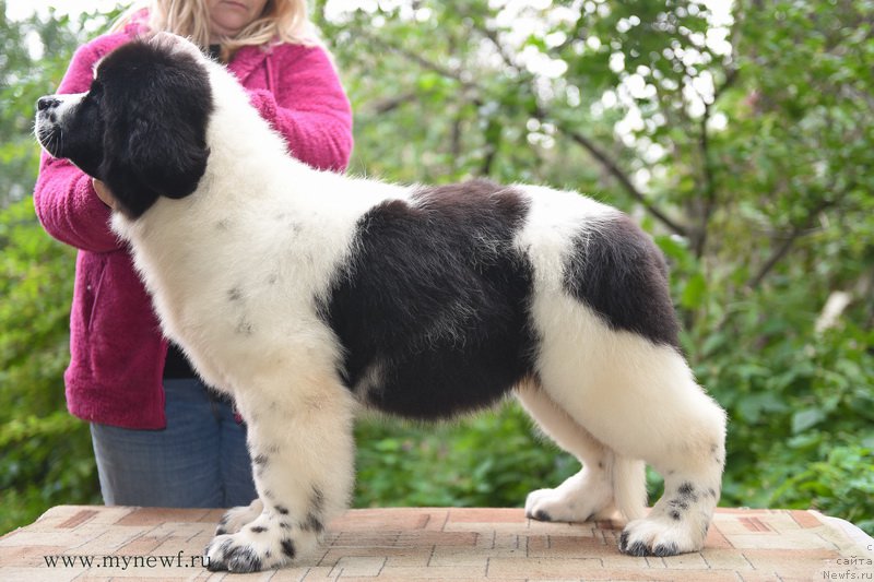 Фотография № 191899