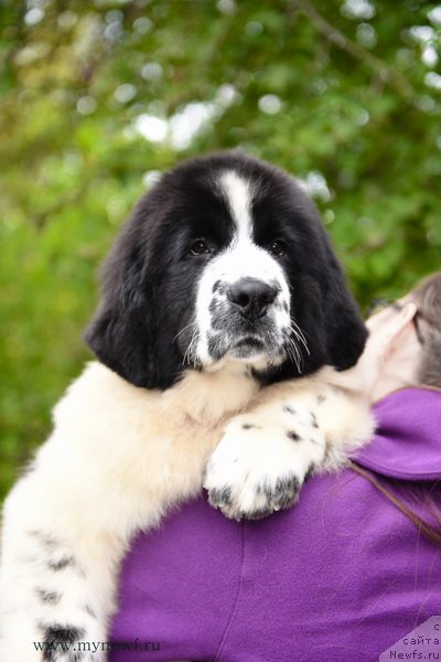 Фотография № 191906