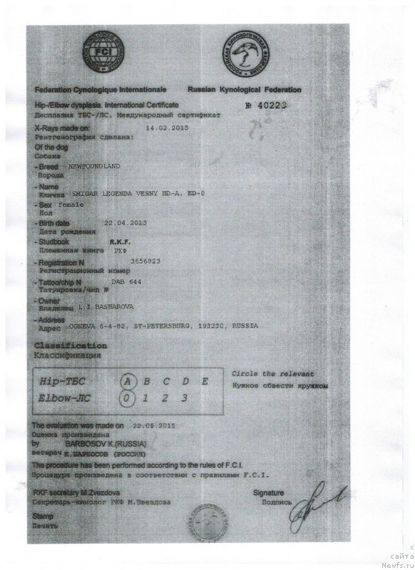 Фотография № 191917