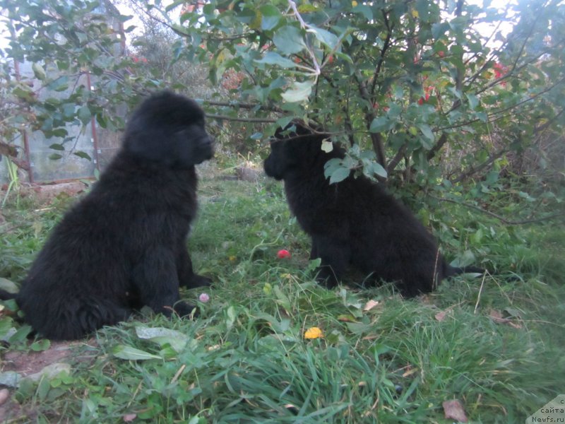 Фото: Natal'ya Smazchikova (Наталья Смазчикова)
