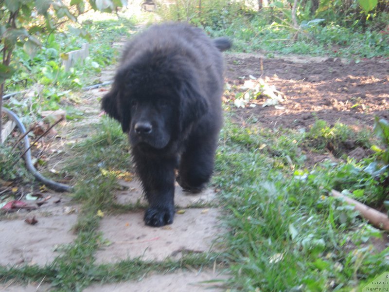 Фото: Natal'ya Smazchikova (Наталья Смазчикова)