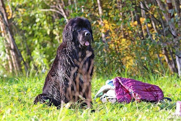 Фото: Anna Marshina (Анна Маршина)