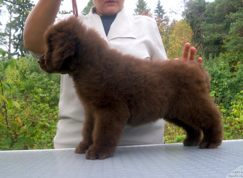 Фотография № 191987