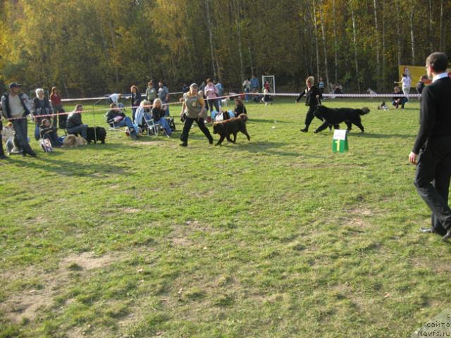 Фотография № 19199