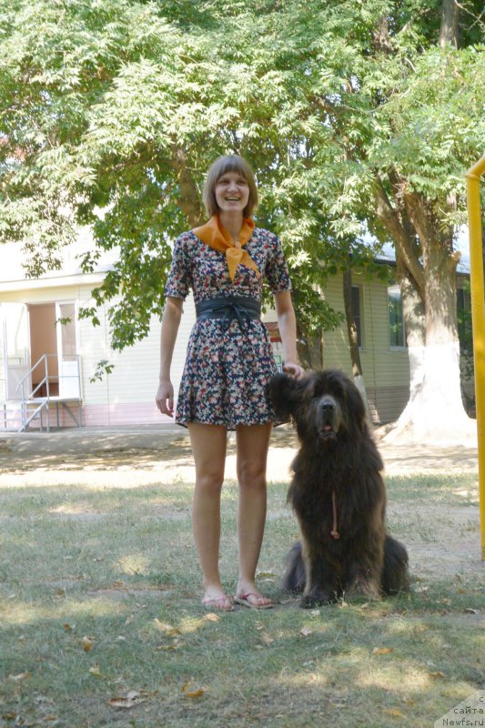 Фотография № 191990