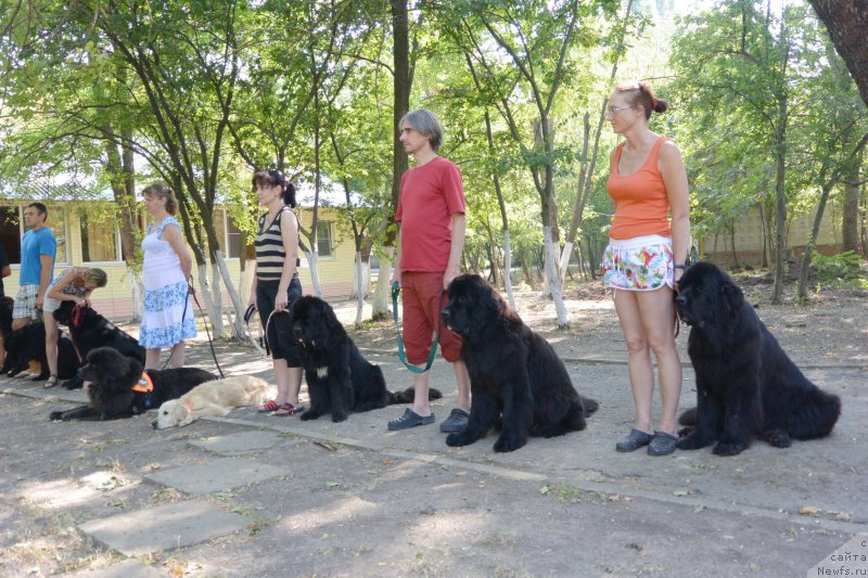 Фотография № 191995