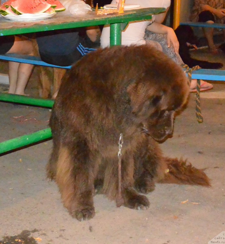 Фотография № 192006