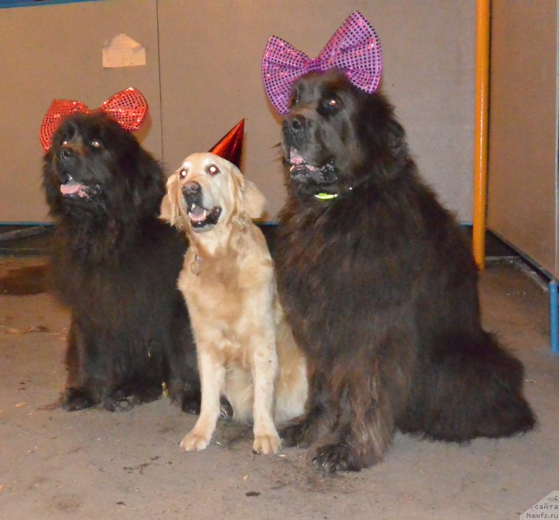 Фотография № 192008