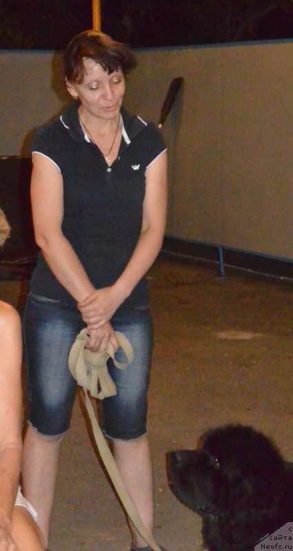 Фотография № 192017