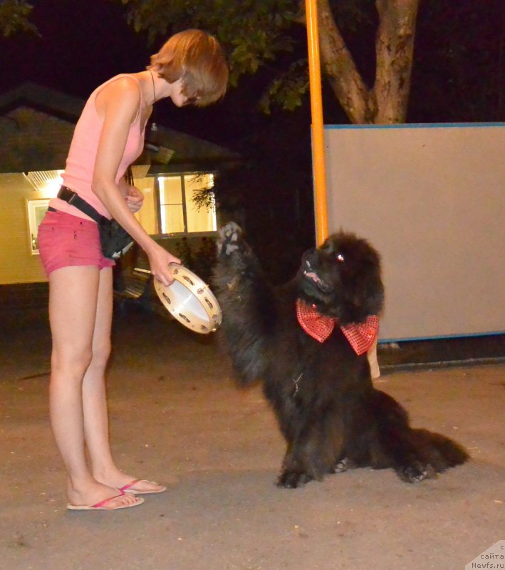 Фотография № 192034