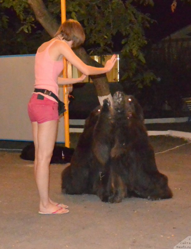 Фотография № 192036