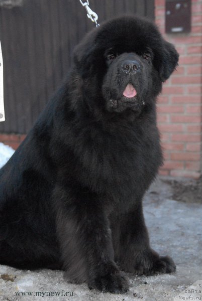 Фотография № 192053