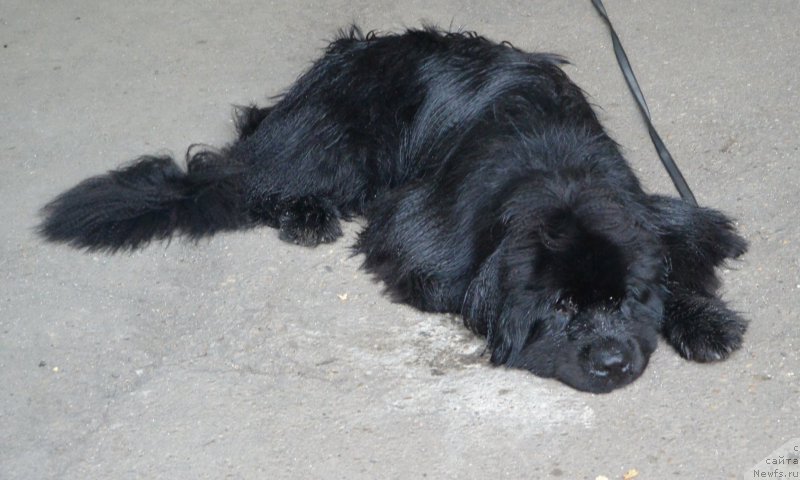 Фотография № 192064