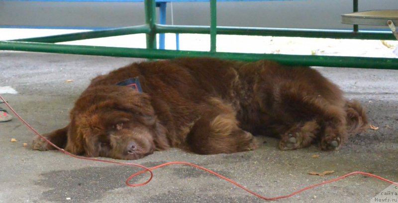 Фотография № 192071