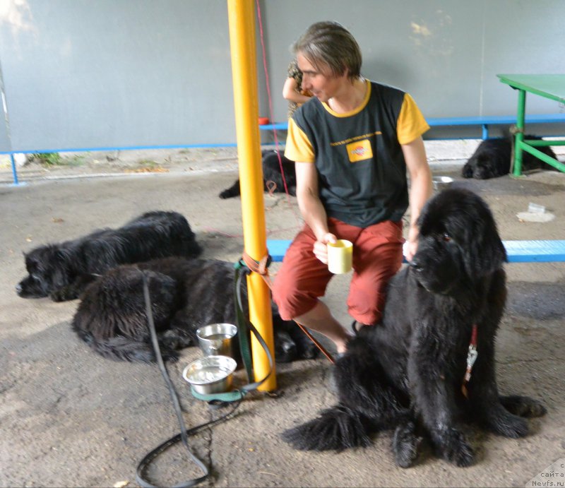 Фотография № 192074