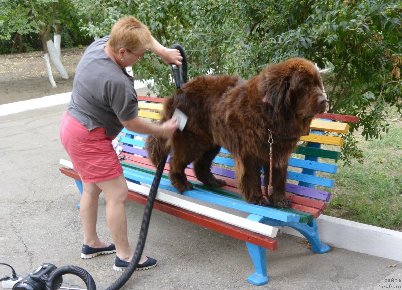 Фотография № 192077