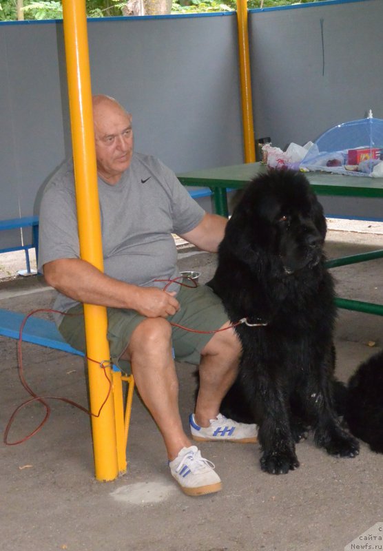 Фотография № 192083