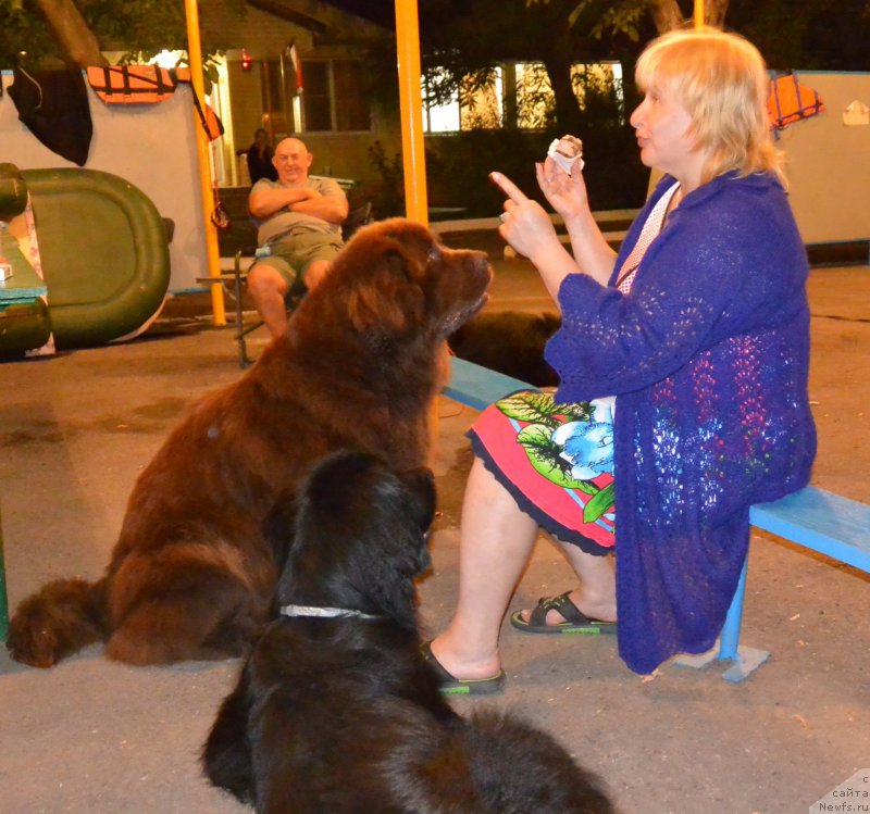 Фотография № 192089