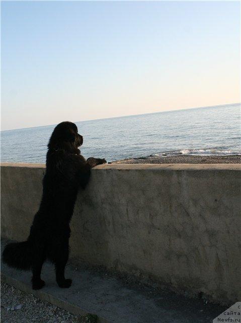 Фотография № 19209