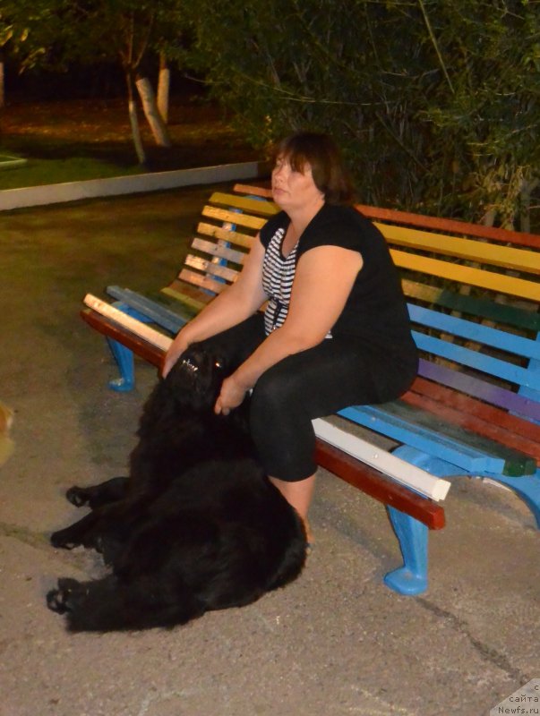 Фотография № 192094