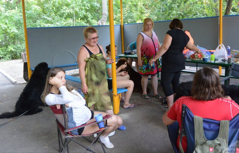 Фотография № 192098