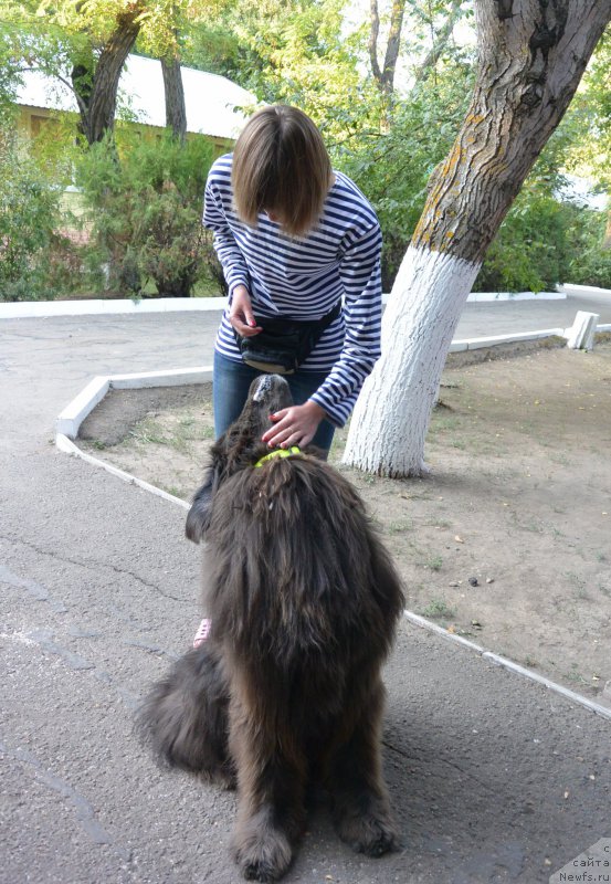 Фотография № 192100