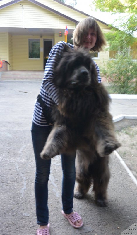 Фотография № 192101