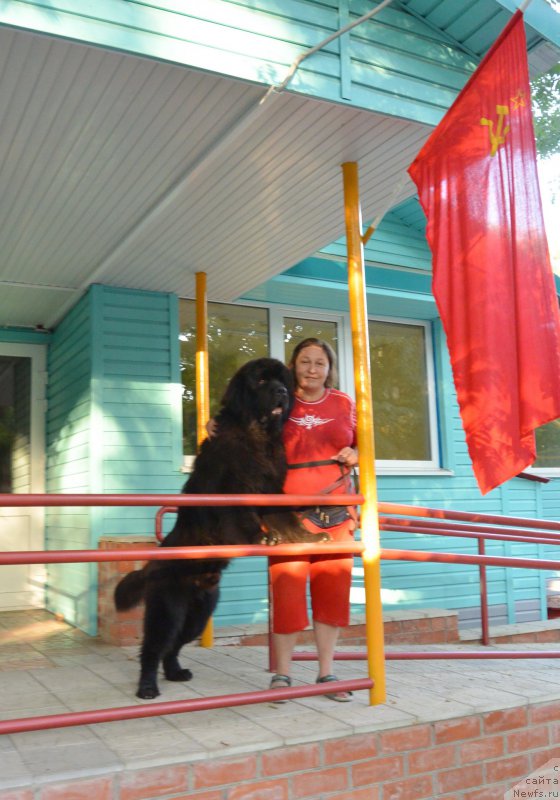 Фотография № 192102