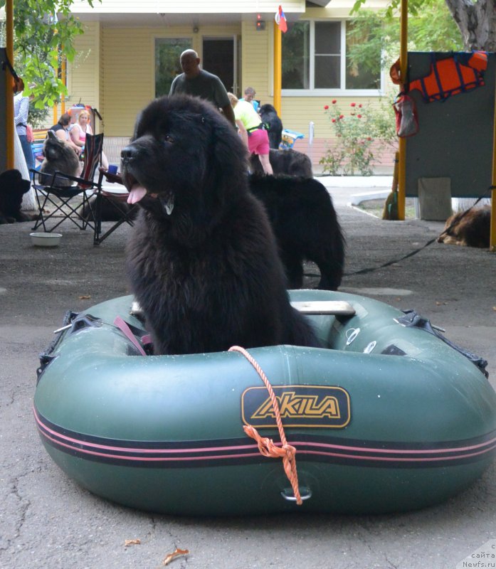 Фотография № 192103