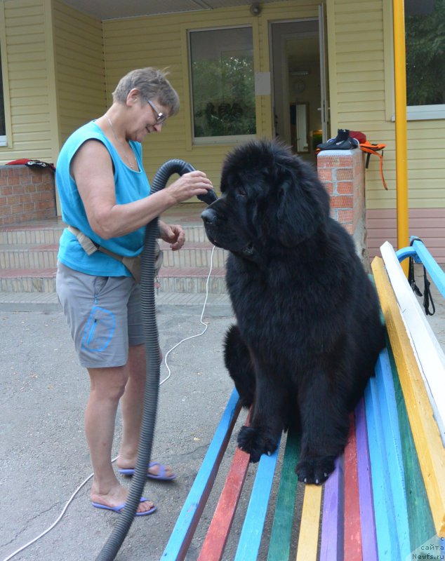 Фотография № 192109