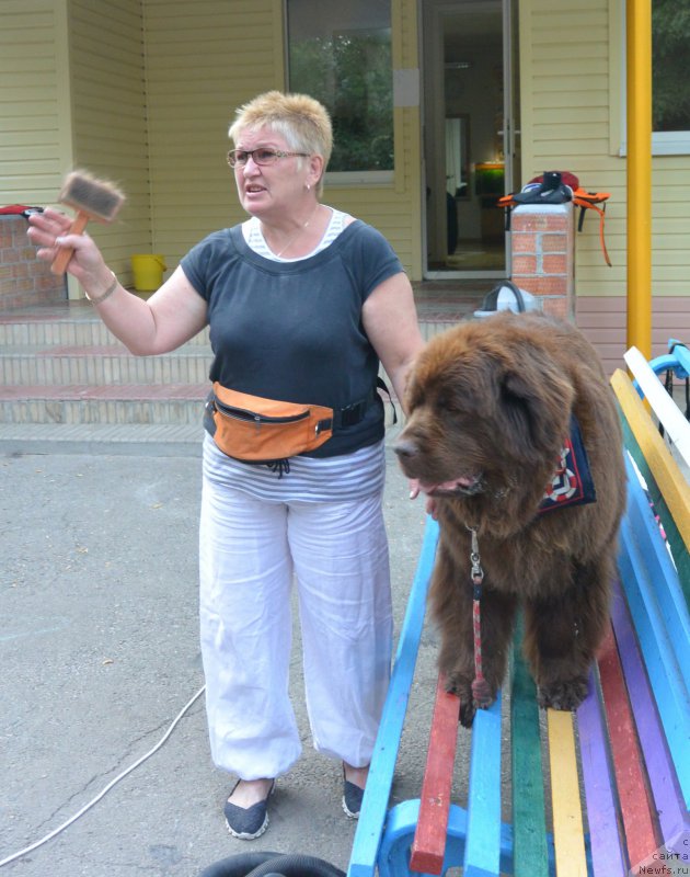 Фотография № 192110