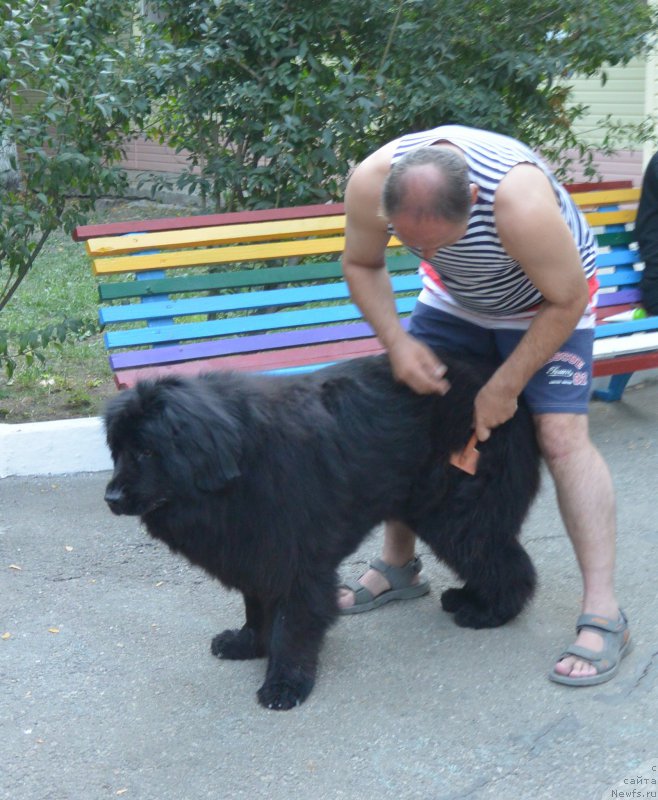 Фотография № 192111