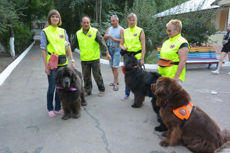 Фотография № 192114